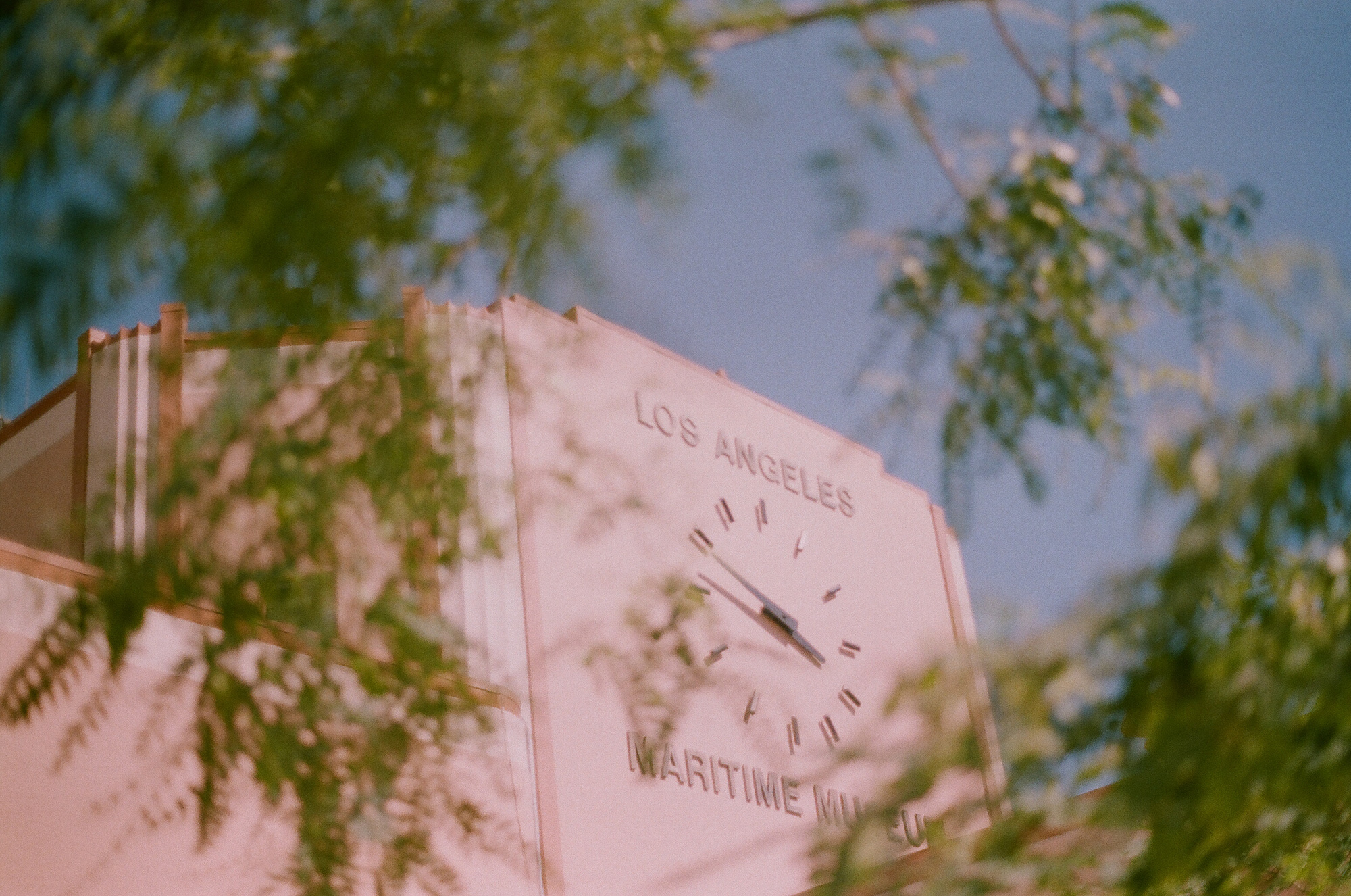 California in the pink film