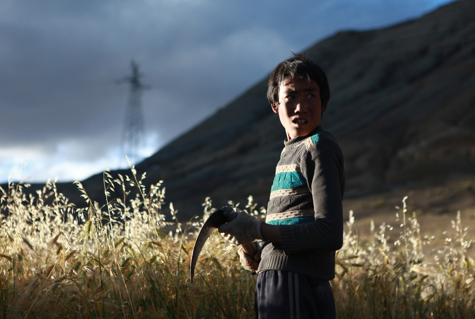 Tibetan farmer 藏农