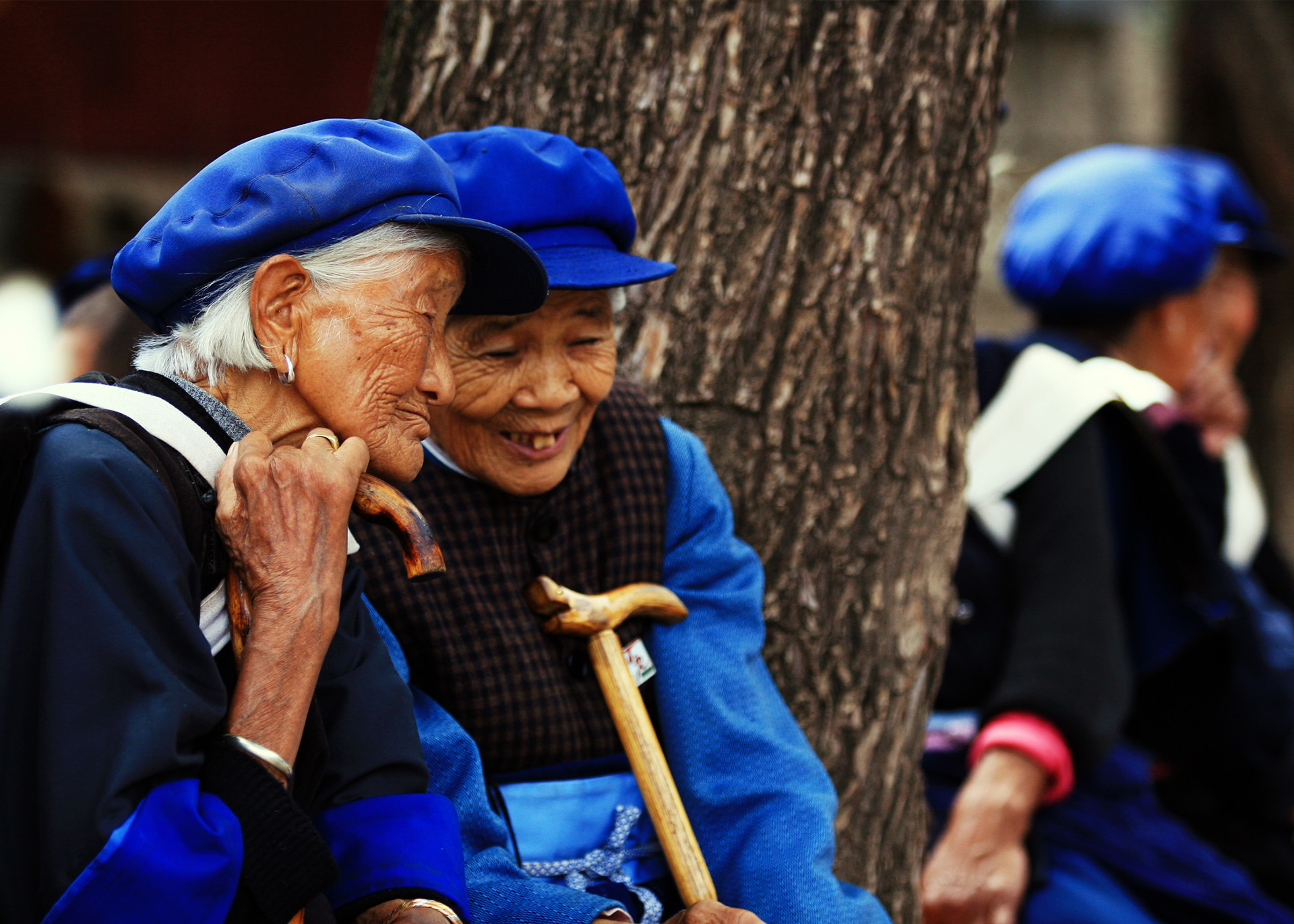 Colorful Yunnan 多彩云南